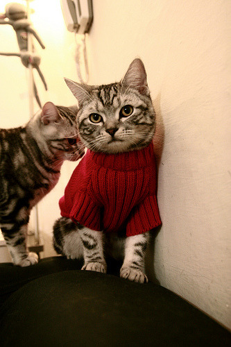 中国足球国际合作网络逐步完善,推动行业走向高端,中国足协合作