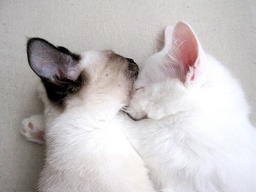 传统陶艺与竞技结合，文化运动新体验，传统陶艺作品