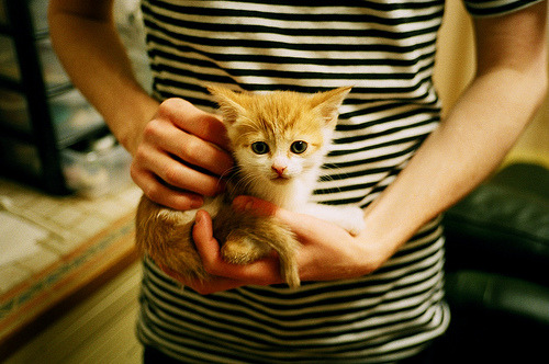 传统陶艺与竞技结合，文化运动新体验，传统陶艺作品